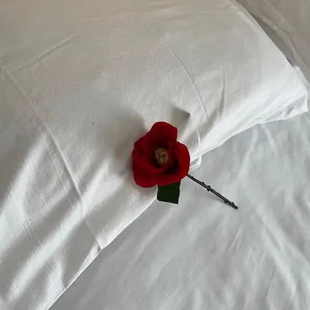 Agora Sulla Via Dei Templi