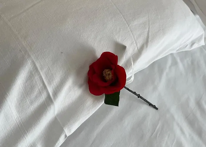 Agora Sulla Via Dei Templi